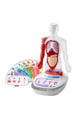 Türkçe Sesli Ansiklopedik İnsan Vücudu Modeli – 15 Parçalı Çıkarılabilir Anatomi Seti, Sesli Eğitim
