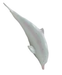 Oyuncak Yunus Balığı Et Figür Deniz Canlıları Sevimli Beyaz Yunus Balığı Gerçekçi 25cm.