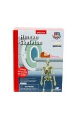 İnsan İskeleti Bilim Seti – 18 Parça Eğitici Oyuncak