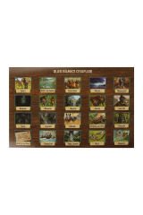 Jumanji Kutulu Strateji ve Macera Oyunu – Kırmızı Küreli, 100 Mücadele Kartı, 2-4 Oyuncu, Zeka ve Takım Oyunu