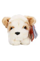 Yumuşacık Dokusu ve Sevimli Yüzüyle Bulldog Peluş, Kalpleri Fethediyor