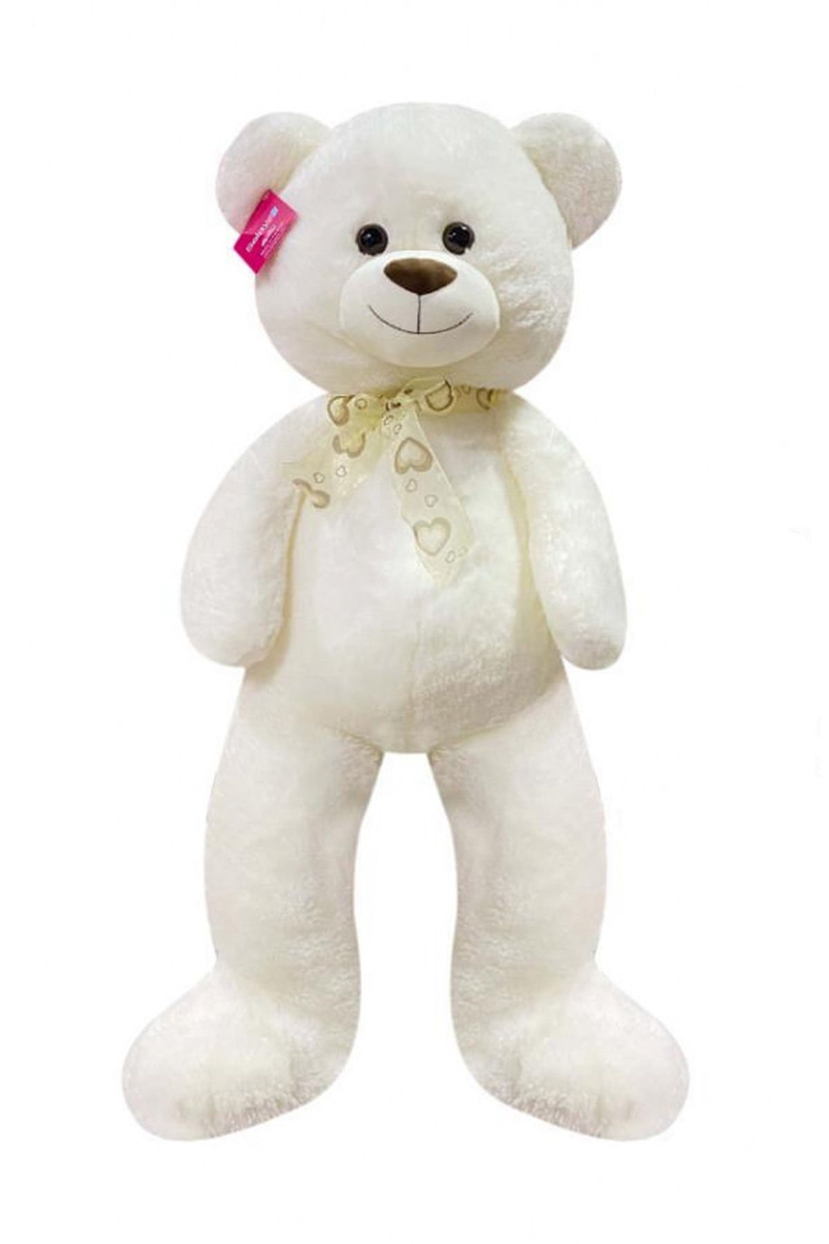 100 cm'lik Kocaman Sarılma: Peluş ve Welsoft Salaş Ayı