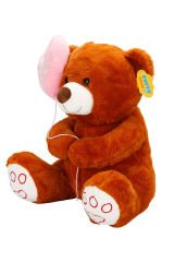 Yumuşacık 40cm. Peluş Ayı, Kalbinde Taşıyacağı Bir Hediye