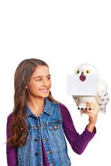 Büyüleyici Hedwig Seni Bekliyor! Harry Potter Hayranları İçin Özel
