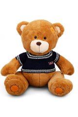 Kazak Giyen 42 cm. lik Bu Ayıya Kim Hayır Diyebilir?